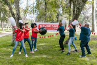 Idées d'activités team building : les meilleures options pour 2024